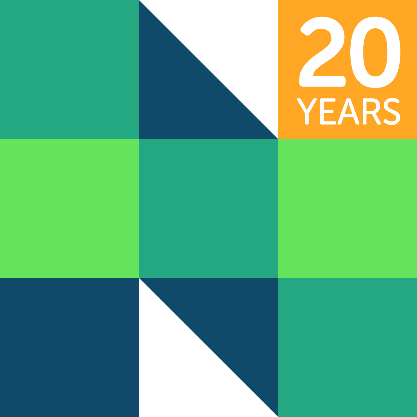 NPEF 20 Years Logo